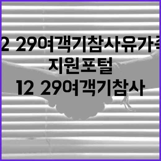 12·29여객기참사 유가족 위한 지원포털 개시