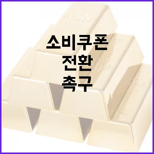 행안부, 소비쿠폰 가치소비로 전환 촉구