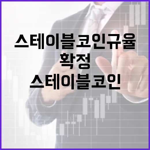 금융위, 스테이블코인 규율 아직 확정 안돼