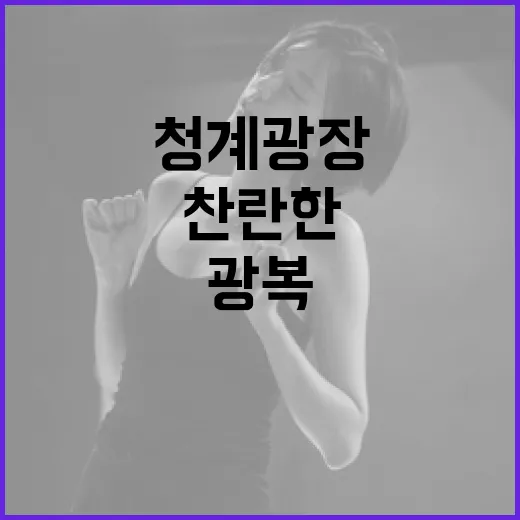 청계광장서 광복 80년 찬란한 축제 열린다