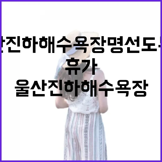 울산 진하해수욕장 명선도 무료 휴가 명소