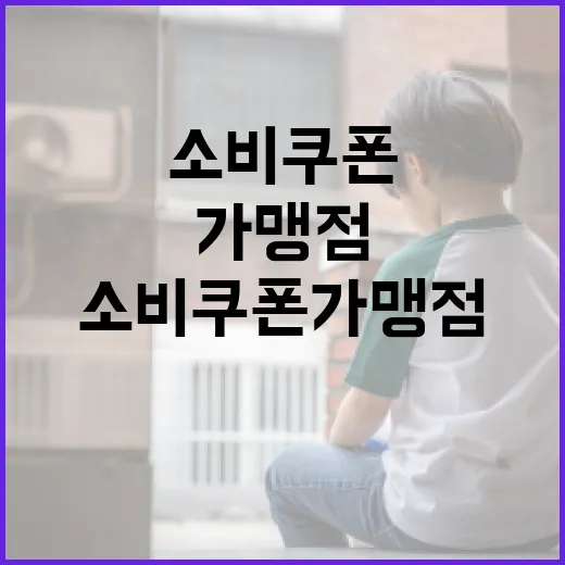 행안부, 소비쿠폰 가맹점 정보 노출 우려 해명