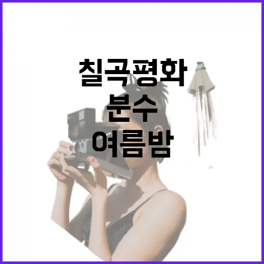 칠곡평화분수, 여름밤 산책 명소
