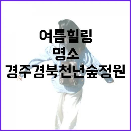 경주 경북천년숲정원, 여름 힐링 명소
