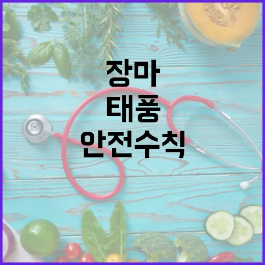 장마와 태풍 대비 스마트 안전 수칙