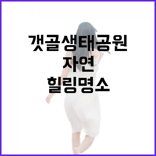 도심 속 자연 힐링 명소 갯골생태공원