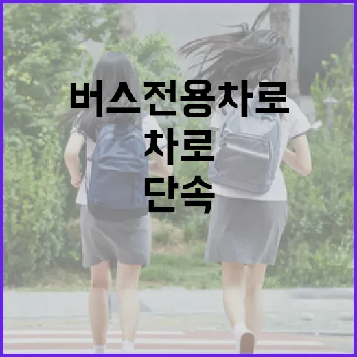 안성나들목~한남대교 버스전용차로 집중단속