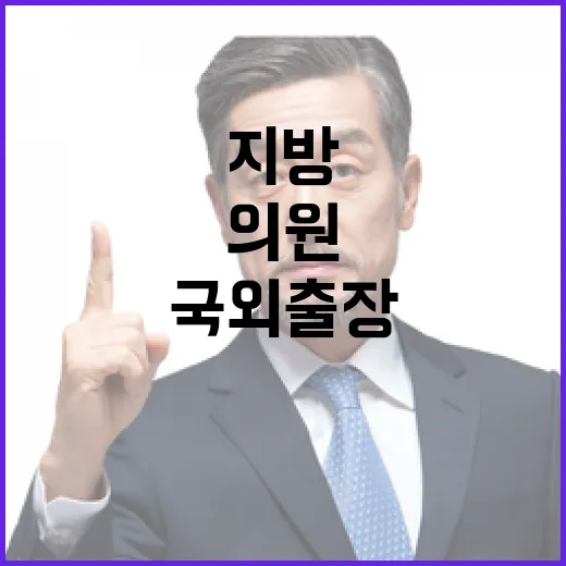 지방의원 국외출장 예산, 자율 관리 원칙 확인