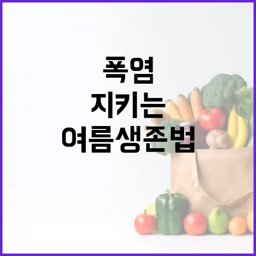 폭염 속 건강 지키는 여름 생존법