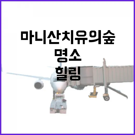 마니산 치유의숲, 세대 공감 힐링 명소