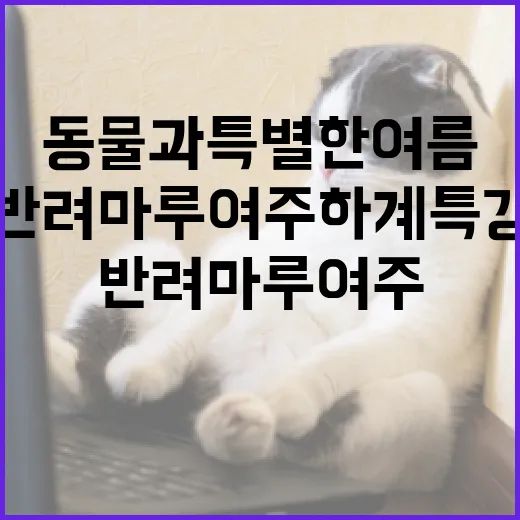 반려마루 여주 하계특강, 반려동물과 특별한 여름