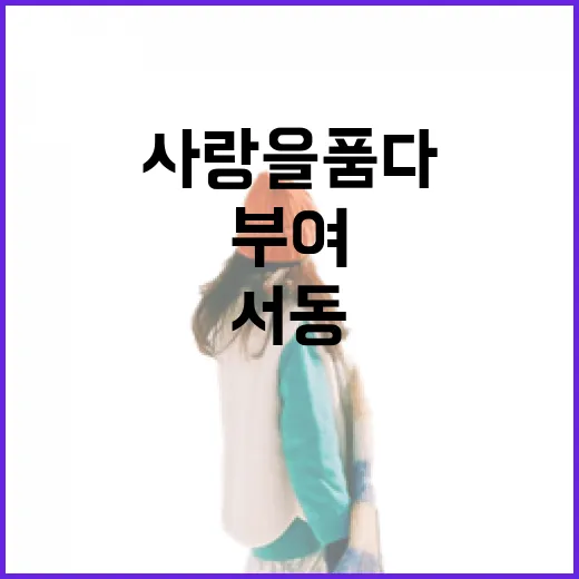 부여 궁남지, 서동과 선화의 사랑을 품다