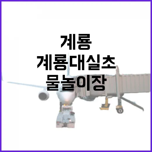 계룡 대실초 물놀이장 개장 소식