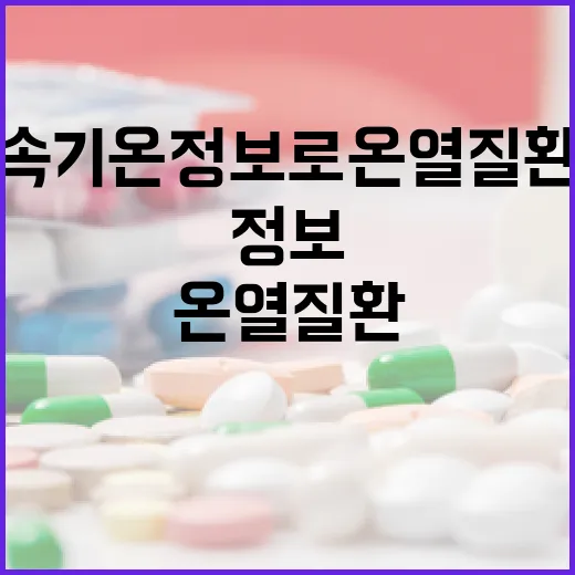 생활 속 기온 정보로 온열질환 예방 나선다