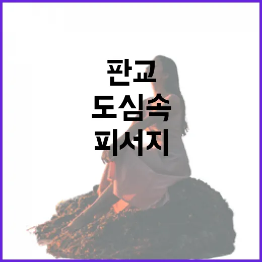 판교 화랑공원 물놀이장, 도심 속 최고의 여름 피서지