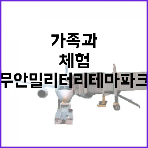 무안 밀리터리테마파크, 가족과 연인 체험 명소