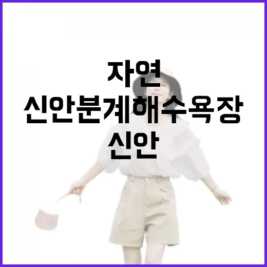 신안 분계 해수욕장, 자연과 전설이 어우러진 여름 명소