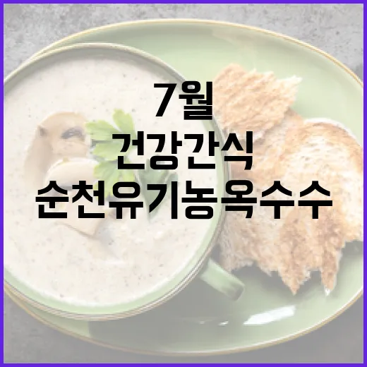 순천 유기농 옥수수, 7월 건강 간식 주목