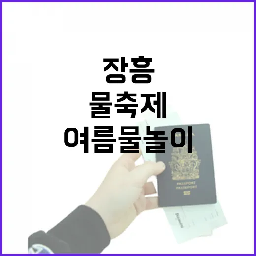 장흥 글로벌 물축제, 여름 물놀이의 진수