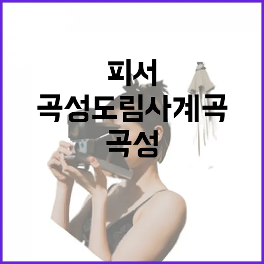 전남 곡성 도림사 계곡, 여름철 피서 명소