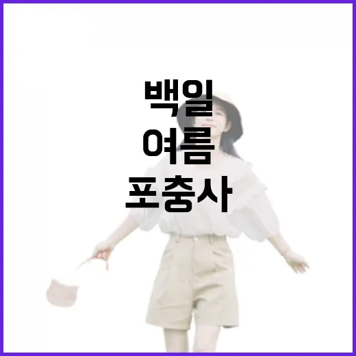 포충사 배롱나무꽃, 백일의 여름 향연