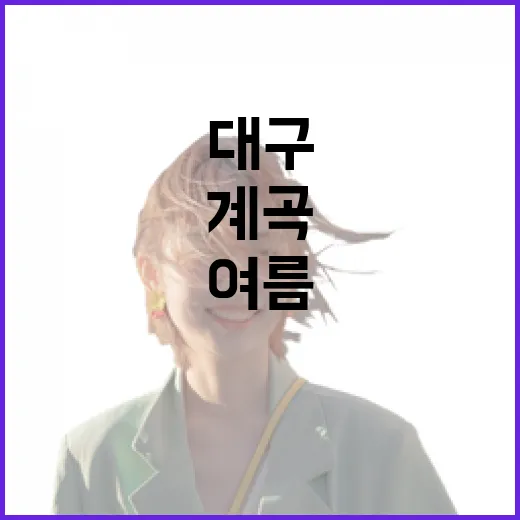 대구 여름 계곡 3선, 청량함 가득