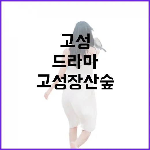 고성 장산숲, 드라마 속 고요한 쉼터