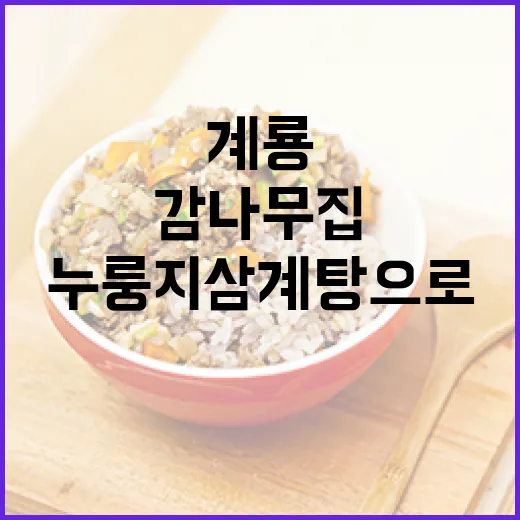 계룡 감나무집 누룽지 삼계탕으로 무더위 이겨내기