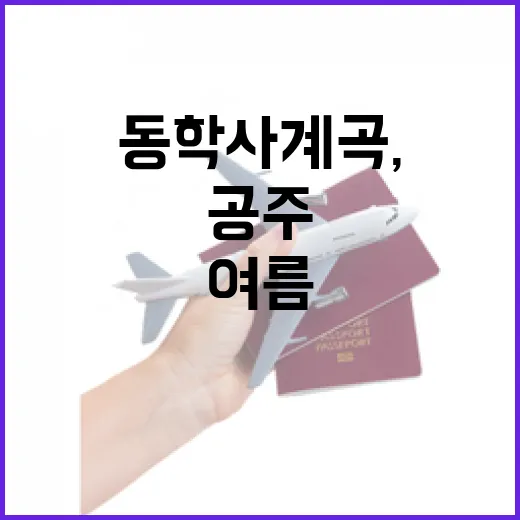 공주 동학사 계곡, 여름 피서 명소