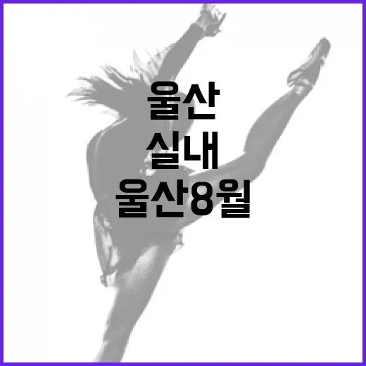 울산 8월 실내 문화행사 풍성