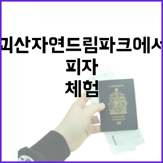 괴산 자연드림파크에서 즐기는 건강 피자 체험