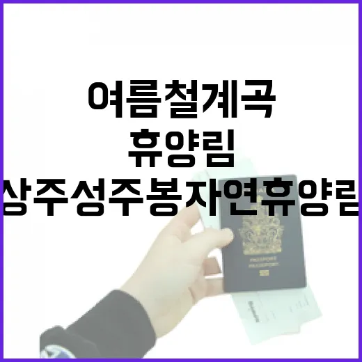 상주 성주봉자연휴양림 여름철 계곡 명소
