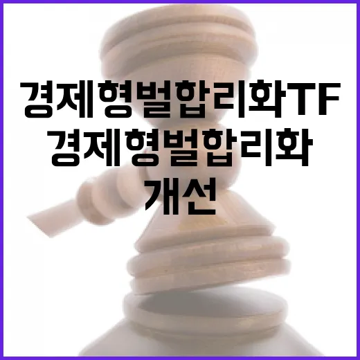 경제형벌 합리화 TF 출범, 1년 내 30% 개선 목표