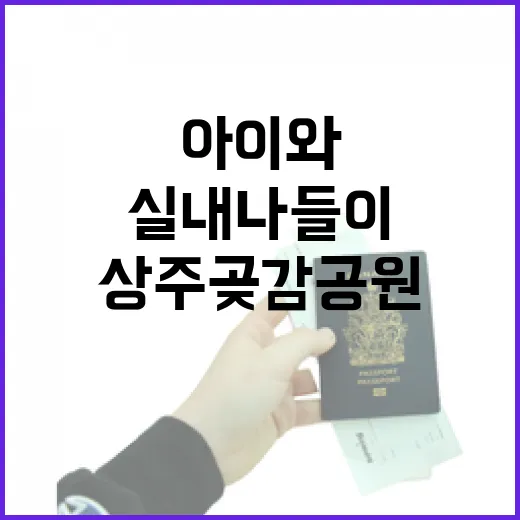 상주곶감공원, 아이와 함께하는 시원한 실내 나들이