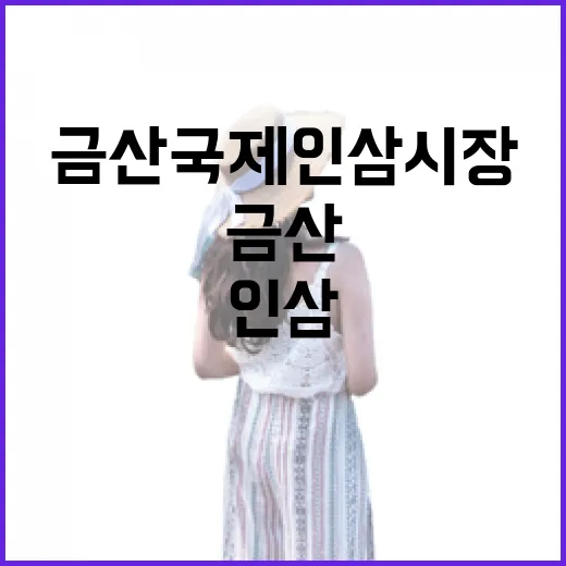금산국제인삼시장, 인삼과 약초의 명소