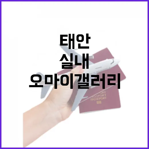 태안 오마이갤러리, 아이와 함께하는 실내 명화 여행