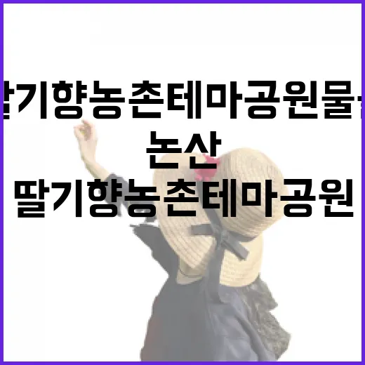 논산 딸기향 농촌테마공원 물놀이장 인기