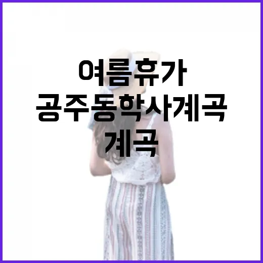 공주 동학사 계곡, 여름 휴가 명소 현장