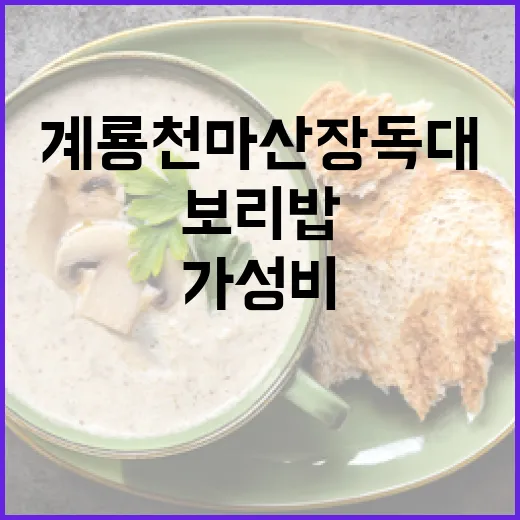 계룡 천마산 장독대 보리밥 가성비 맛집
