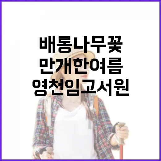 영천 임고서원 배롱나무꽃 만개한 여름 산책길