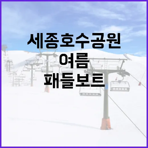 세종호수공원서 즐기는 여름 패들 보트 체험