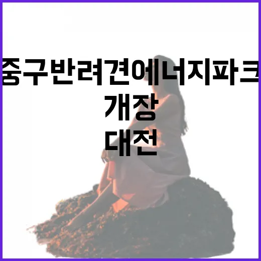 대전 중구 반려견 에너지파크 개장