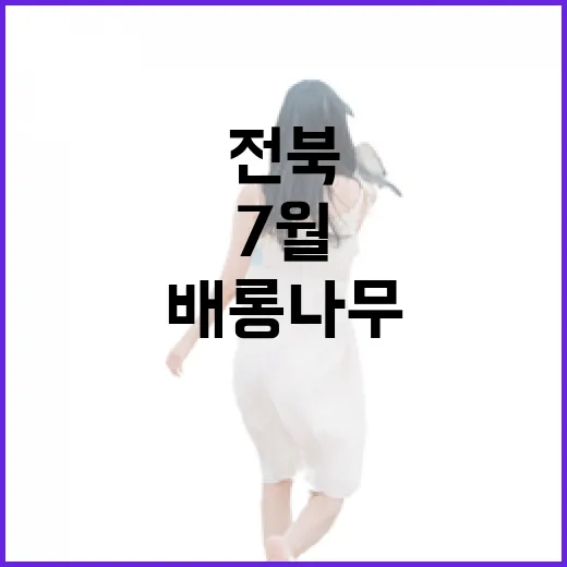 전북 7월 배롱나무 명소 4선