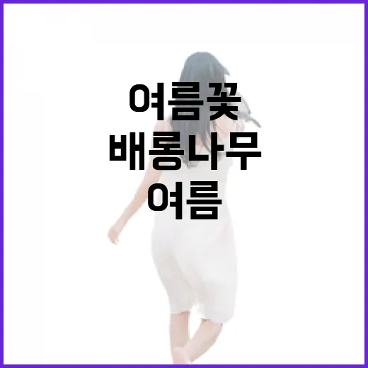 100일간 피어나는 여름꽃, 영동 배롱나무 산책