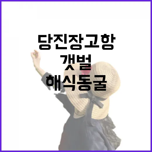 당진 장고항, 서해 갯벌과 해식동굴의 매력