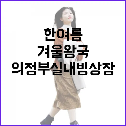 한여름 속 겨울왕국, 의정부실내빙상장