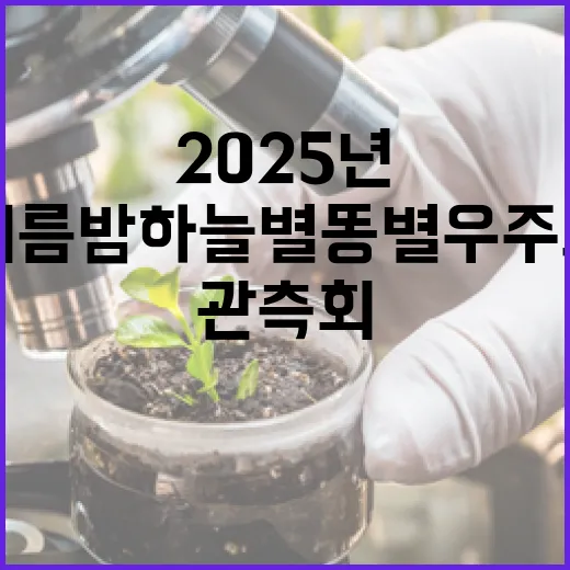 2025년 여름 밤하늘 별똥별 우주쇼 관측회