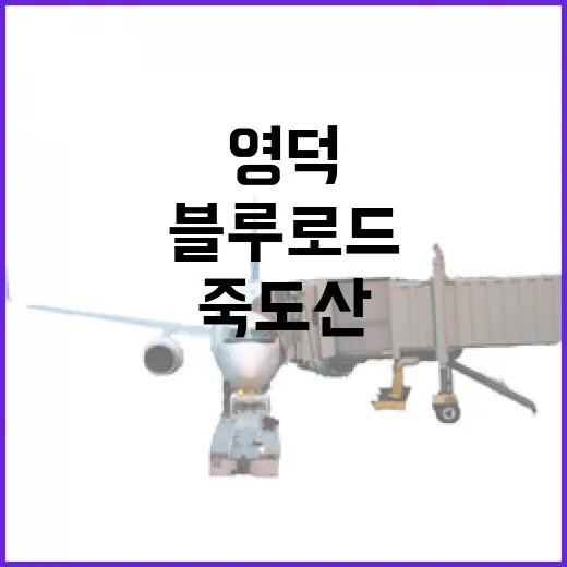 영덕 죽도산 블루로드, 바다와 함께 걷는 힐링 산책길