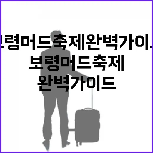 보령 머드축제 완벽…
