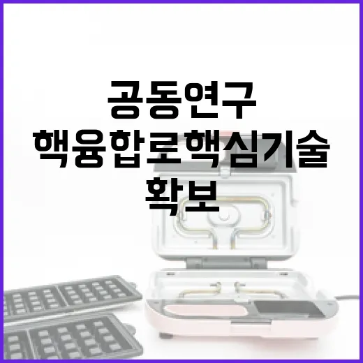 한미 공동연구, 핵융합로 핵심기술 세계 첫 확보